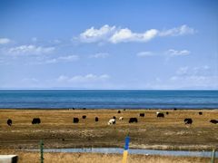 -青海湖国家重点风景名胜区