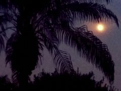 -东风公园