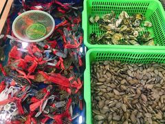 -七鲜渔港美食餐厅(巽寮湾海景店)