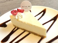 -Nectar One Cafe(勇烈路n1店)