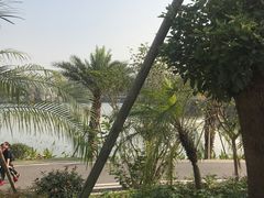 -枫香湖儿童公园