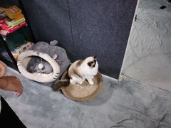 -零纪元VR体验馆·桌游(黄浦店)