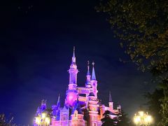 -小镇影院迪士尼小熊Duffy与他的朋友合影地