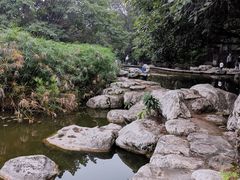 -神仙树公园