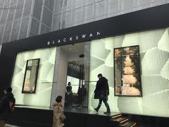 门面-BLACKSWAN黑天鹅(环球店)