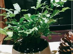-翠园十八号庭院餐厅