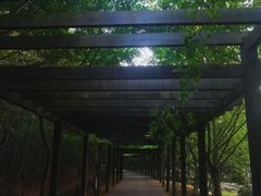 -九龙潭景区