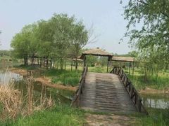 -扬州芍药园(仪征市)