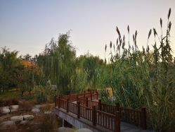 -维纳斯专业减肥