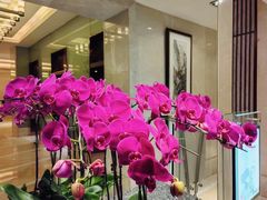 -江南·JIANGNAN(北京歌华开元大酒店)