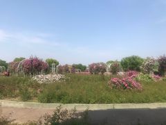 -尚贤河湿地