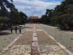 -北陵公园