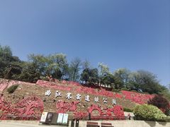 -西安曲江寒窑遗址公园