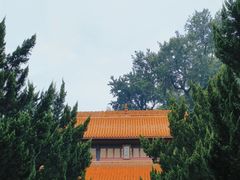 -岳麓山风景名胜区