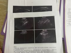 -宠爱国际动物医院·消化内科·心肾内科·ISFM猫友好(望京店)