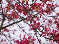 -风云岭森林公园