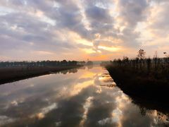 -海上花岛玫瑰园采摘
