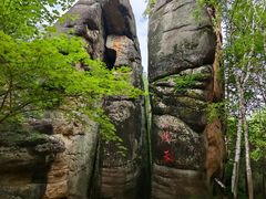 -汤旺河林海奇石景区