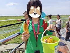 -黑瞎子岛探秘野熊园