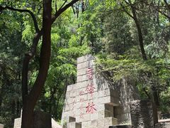 -高尔山公园