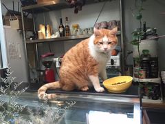-小时光咖啡馆(北锣鼓巷店)