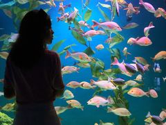 -成都浩海立方海洋公园