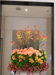 -奥斯芬欧系贵族SPA