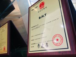 -碧莲盛·不剃发植发