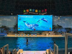 -泉城欧乐堡海洋极地世界
