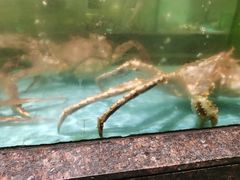 -西贝海鲜汇(槐安路店)