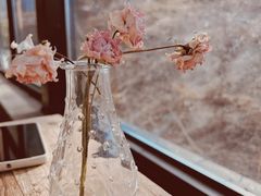 -北马山庄植趣咖啡