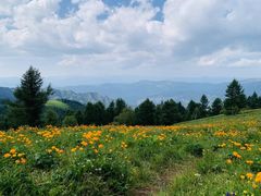 -驼梁风景区