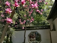 -杭州黄龙洞