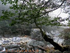 -祁门牯牛降观音堂风景区