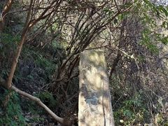-东白山