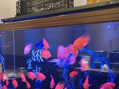 -潮汕壹号·潮汕菜·打边炉·生腌(总店)
