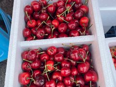 -堤口果品批发市场