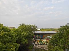 -上海佘山世茂艾美酒店
