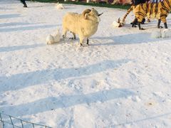 -绿野森林乐园冰雪季
