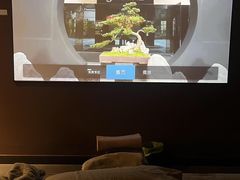 -椿杨樘·明康泡浴养生馆(重庆店)