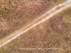 -汉长安城未央宫国家考古遗址公园