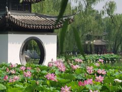 -陶然亭公园