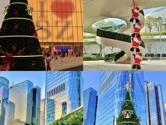 -深圳湾万象城(南山店)