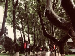 -南京航空航天大学(明故宫校区)