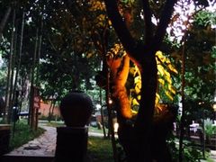 iphone_upload_pic-七仙岭君澜度假酒店