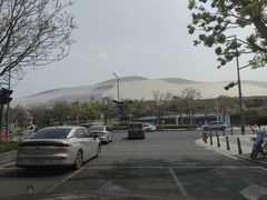 -招商蛇口邮轮母港(观光客运)