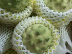 -东方鼎信农副产品交易中心