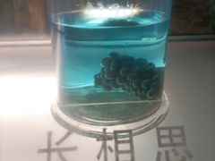 -青岛葡萄酒博物馆