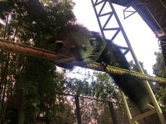 -清迈夜间动物园