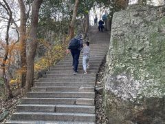 -紫金山山顶公园